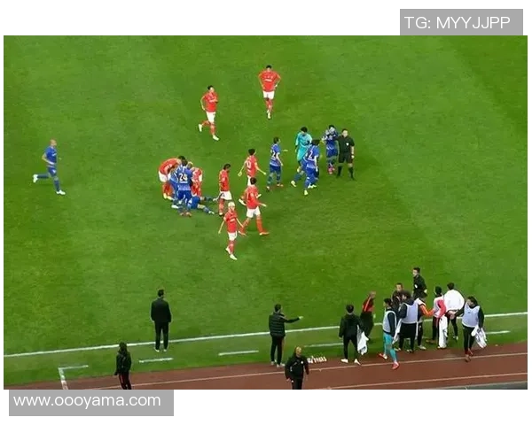 英超激战：里昂与本菲卡握手言和争议判罚引发全场热议